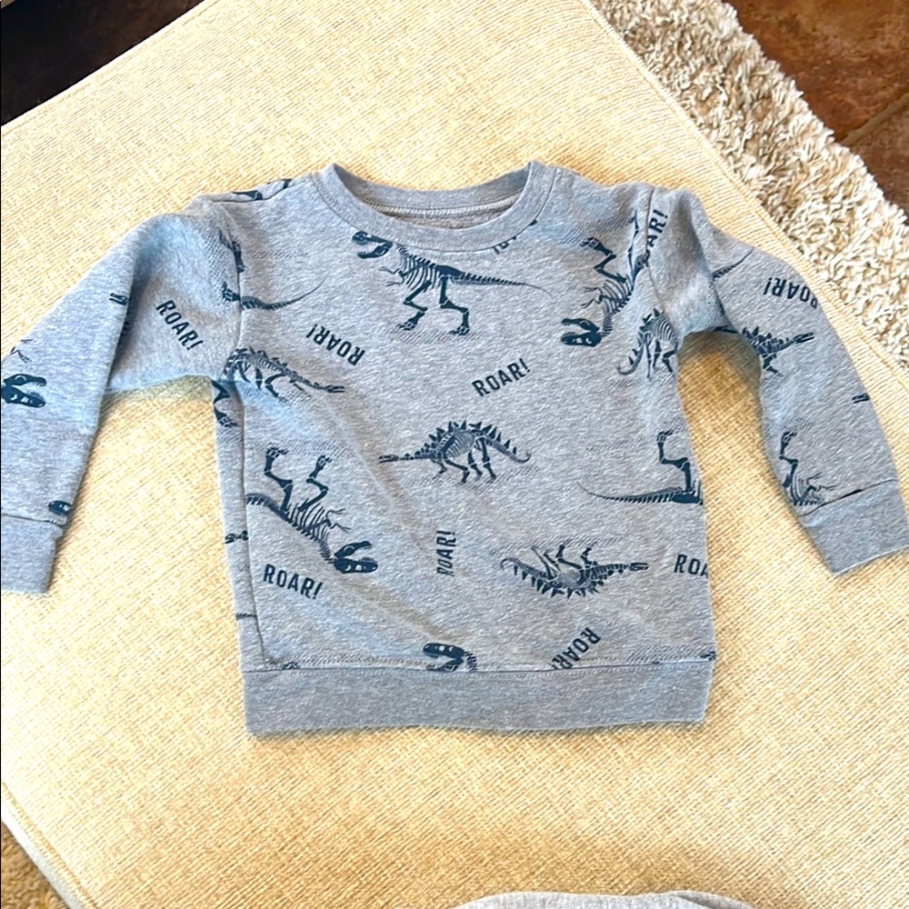 Carter’s Dinosaur Print Gray Sweatshirt & Sweatpants